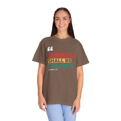 Copy of Unisex Garment-Dyed T-shirt